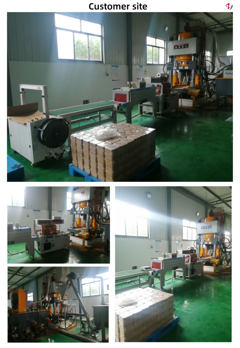 800 tons cattle and sheep brick licking hydraulic press production line客户现场