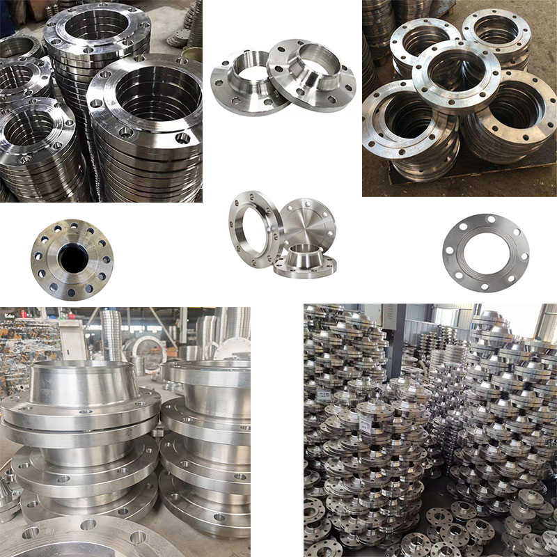 Stainless Steel Flanges